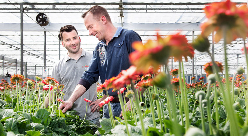 Ecologisch telen maakt chemisch ingrijpen minder vaak nodig