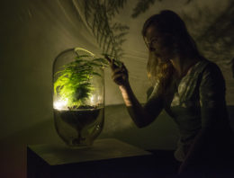 Let it Grow opent inschrijving voor tweede incubatieprogramma