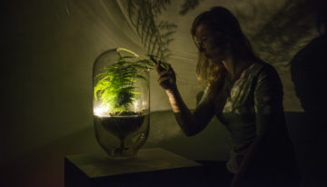 Let it Grow opent inschrijving voor tweede incubatieprogramma