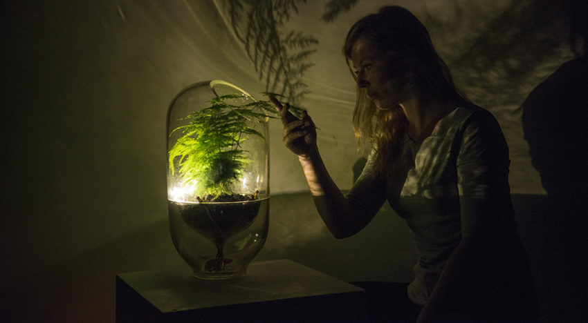 Let it Grow opent inschrijving voor tweede incubatieprogramma