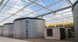 Tuinbouw- en watersector zoeken aanmeldingen voor cross-sectorale waterprojecten