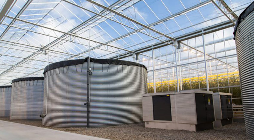 Tuinbouw- en watersector zoeken aanmeldingen voor cross-sectorale waterprojecten