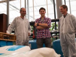 Evenwicht in wortelmilieu zorgt voor goede opname voedingselementen