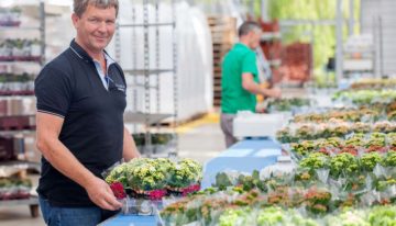 Behoefte aan weerbaar gewas stimuleert belangstelling voor silicium