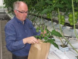 Ontbreken van goede normen zwakke schakel bij plantsapmetingen