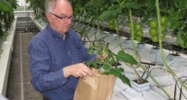 Ontbreken van goede normen zwakke schakel bij plantsapmetingen
