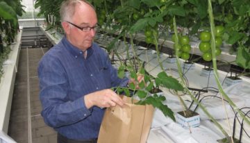 Ontbreken van goede normen zwakke schakel bij plantsapmetingen