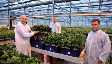 ‘Het herstellend vermogen van een plant blijkt echt bijzonder groot’