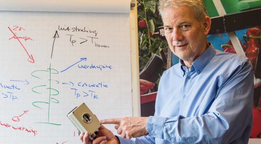 Bescherming gewas tegen stress dankzij digitalisering en specifiek advies