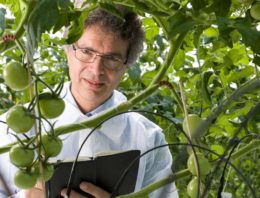 Systeem om nauwkeurig nutriënten te monitoren en bewaken komt dichterbij