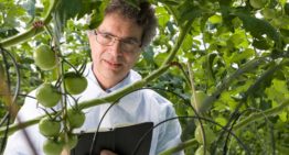 Systeem om nauwkeurig nutriënten te monitoren en bewaken komt dichterbij