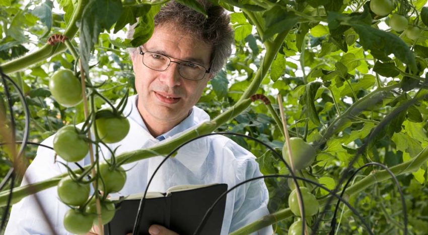 Systeem om nauwkeurig nutriënten te monitoren en bewaken komt dichterbij