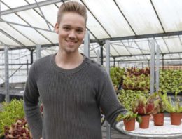‘Het blijkt een wondermiddel tegen muggen’