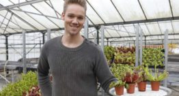 ‘Het blijkt een wondermiddel tegen muggen’