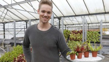 ‘Het blijkt een wondermiddel tegen muggen’