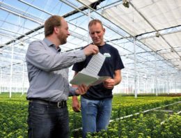 Volop voordelen voor de plant en meer werkplezier in de kas