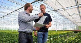 Volop voordelen voor de plant en meer werkplezier in de kas