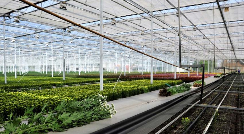 Meten en analyseren cruciaal bij toepassing nieuwe technieken en teeltmethoden Meten en analyseren cruciaal bij toepassing nieuwe technieken en teeltmethoden