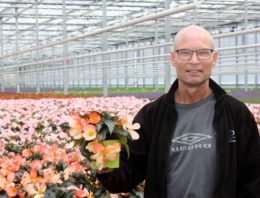 Grote orders bloeiende potplanten vereisen flexibiliteit in de teelt