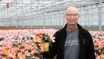 Grote orders bloeiende potplanten vereisen flexibiliteit in de teelt