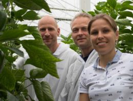 ‘Extra aandacht voor plantbalans na donker voorjaar’