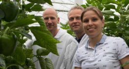 ‘Extra aandacht voor plantbalans na donker voorjaar’
