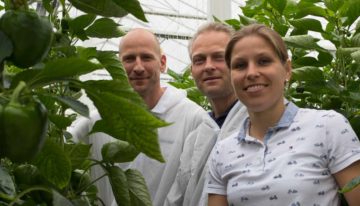 ‘Extra aandacht voor plantbalans na donker voorjaar’