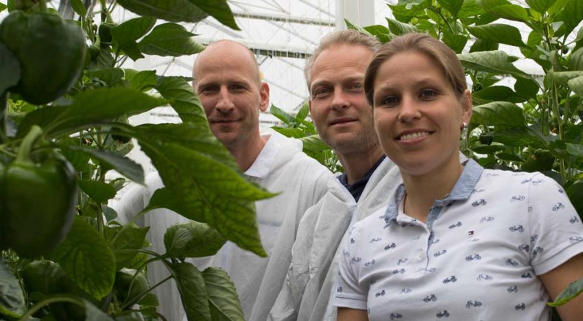 ‘Extra aandacht voor plantbalans na donker voorjaar’ ‘Extra aandacht voor plantbalans na donker voorjaar’