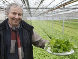 ‘Postelein neemt flink toe in populariteit’