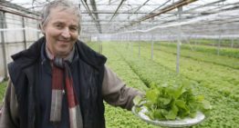 ‘Postelein neemt flink toe in populariteit’