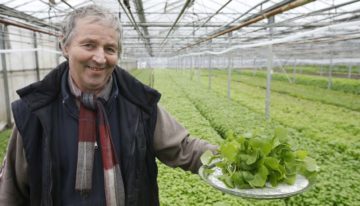 ‘Postelein neemt flink toe in populariteit’