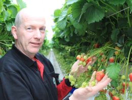 Marcel Dings: ‘Zware planten vallen nu van hun voetstuk’