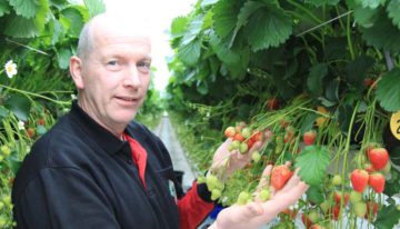 Marcel Dings: ‘Zware planten vallen nu van hun voetstuk’