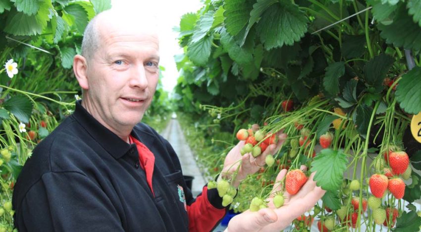 Marcel Dings: ‘Zware planten vallen nu van hun voetstuk’