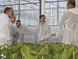 Glastelers willen betalen voor onderzoek mits resultaten beschermd blijven