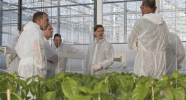 Glastelers willen betalen voor onderzoek mits resultaten beschermd blijven