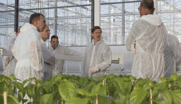 Glastelers willen betalen voor onderzoek mits resultaten beschermd blijven