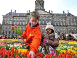 Tulpen Promotie Nederland dendert door