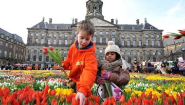 Tulpen Promotie Nederland dendert door