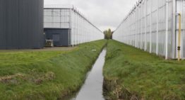 Kwaliteit slootwater laat vaak veel te wensen over