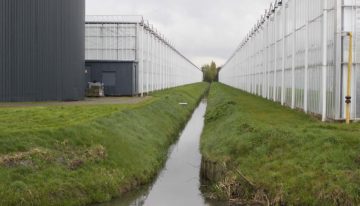 Kwaliteit slootwater laat vaak veel te wensen over