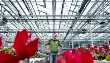 Zaadproductie krijgt de gewenste uniformiteit door jaarrond zacht licht