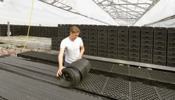 Tulpenbroeien kan redelijk eenvoudig energieneutraal worden