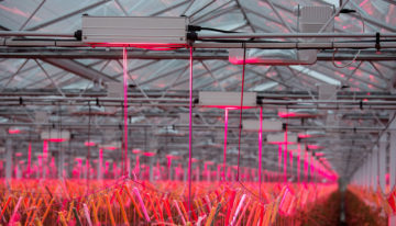 Glastuinbouw realiseert flinke energiebesparing