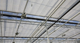 Nieuwe NEN-norm voor lichttransmissie en diffusiteit glas en schermen
