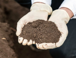 Nieuwe bodemverbeteraars voor biologische teelt toegelaten