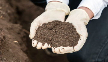 Nieuwe bodemverbeteraars voor biologische teelt toegelaten