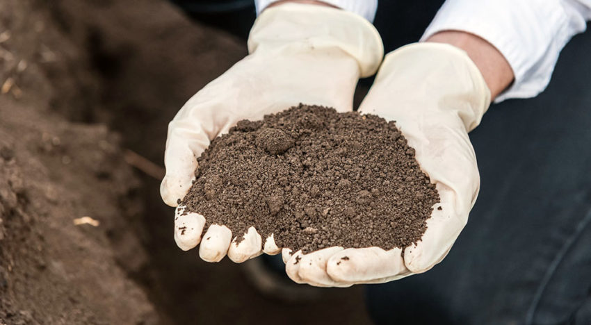 Nieuwe bodemverbeteraars voor biologische teelt toegelaten