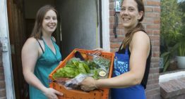‘Met onze maaltijdboxen leggen we een directe link tussen producent en consument’