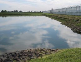 Drijvend zonnepark Lingewaard nog dit jaar gereed